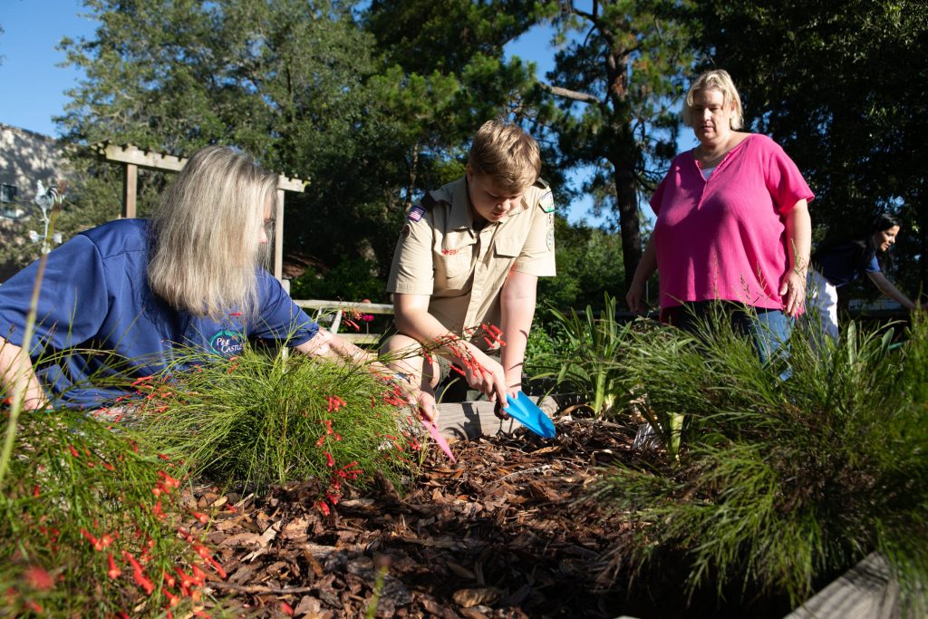 Gardening